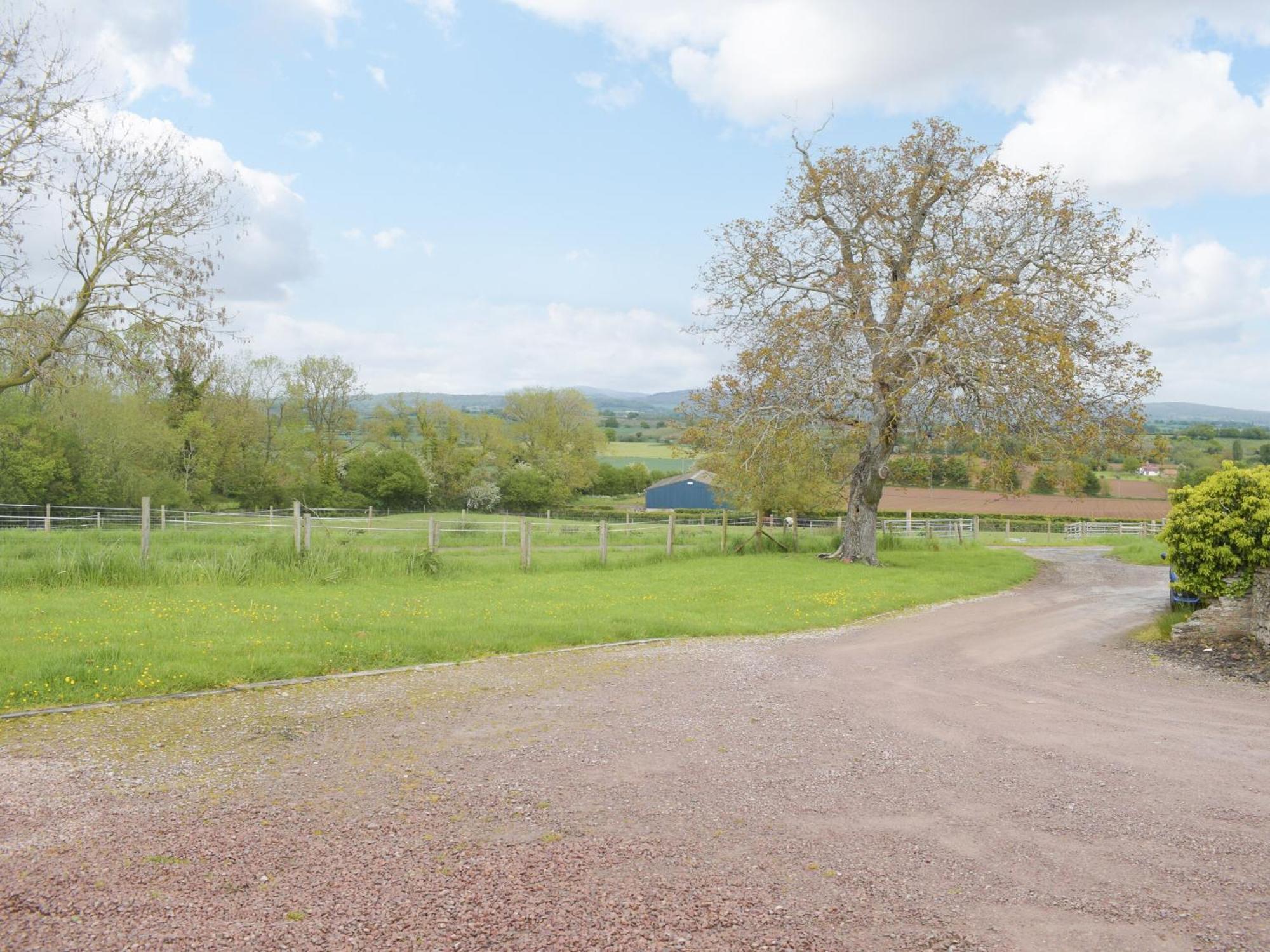 Woltons Mill Villa Much Marcle Exterior foto